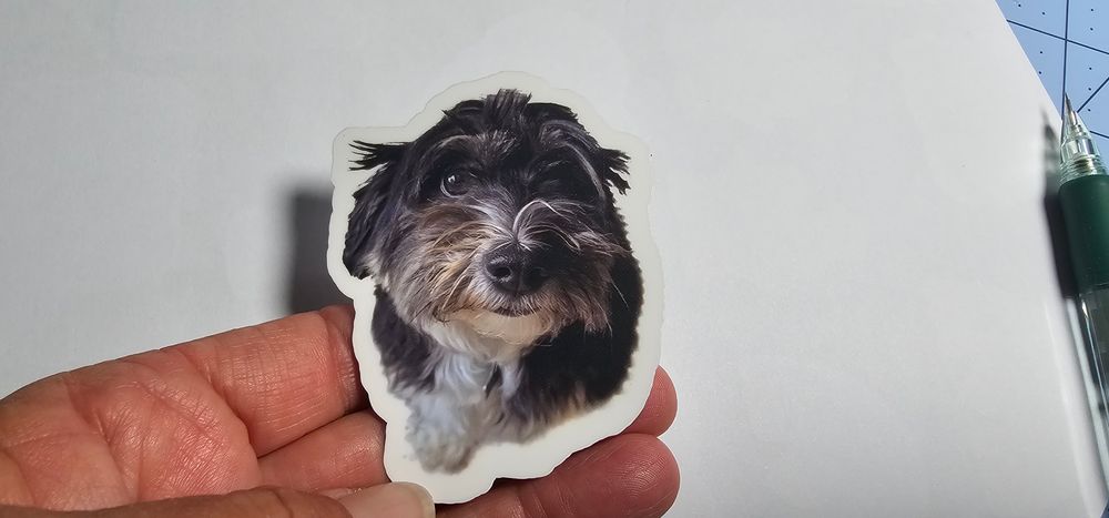4" Custom Pet Photo Sticker